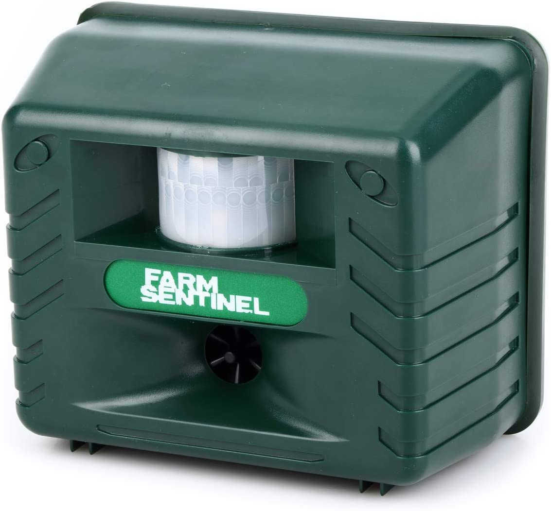 Ultradźwiękowy odstraszacz dzięciołów do skutecznej kontroli ptaków – pozbądź się dzięciołów