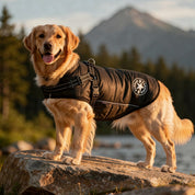 Hundemantel mit Geschirr  | Gepolstert & Reflektierend | Warme Jacke | SnugHound 3