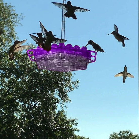 Karmnik dla kolibrów odporny na mrówki, do użytku na zewnątrz 2