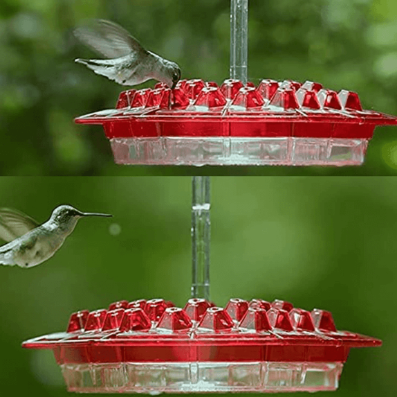 Karmnik dla kolibrów odporny na mrówki, do użytku na zewnątrz 5