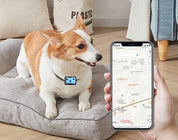 Lokalizator GPS dla psów | Obroża z lokalizatorem 5