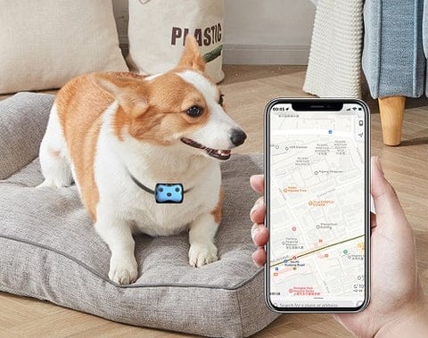 Lokalizator GPS dla psów | Obroża z lokalizatorem 5