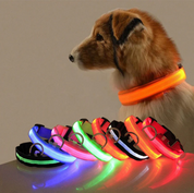 Obroża dla psa z diodami LED 2