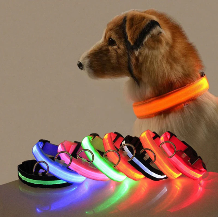 Obroża dla psa z diodami LED 2