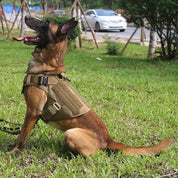 Szelki K9 – taktyczne szelki dla psów 4