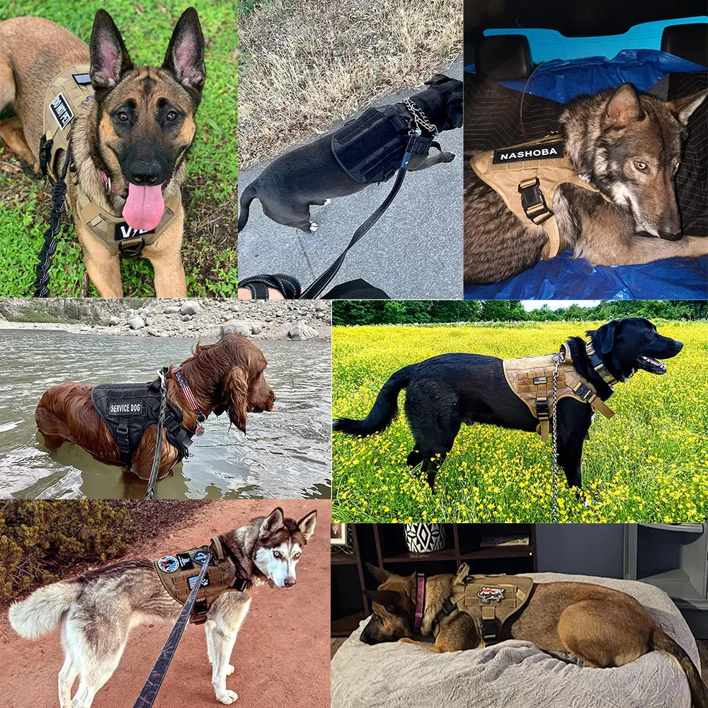 Szelki K9 – taktyczne szelki dla psów 6