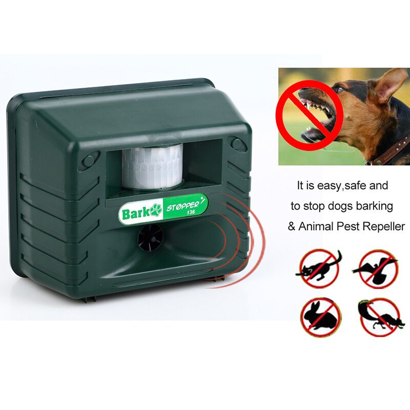 Ultradźwiękowy odstraszacz dzięciołów do skutecznej kontroli ptaków – pozbądź się dzięciołów