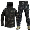 Moro 3 / 2XS